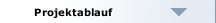Projektablauf